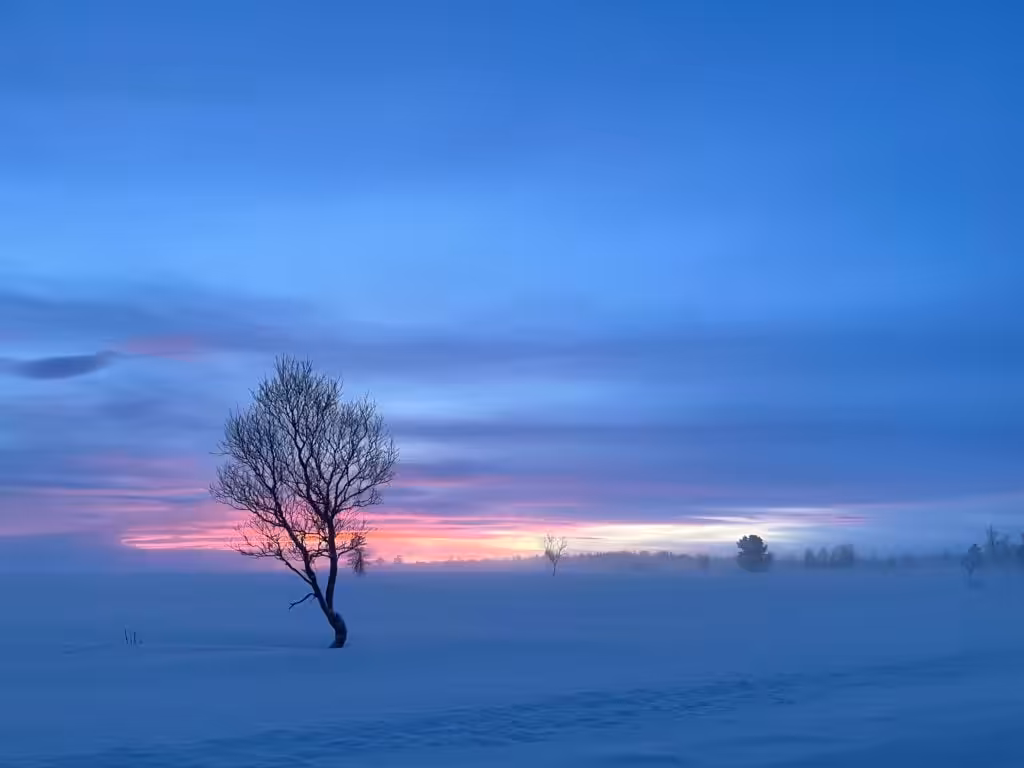 Bilde av sak